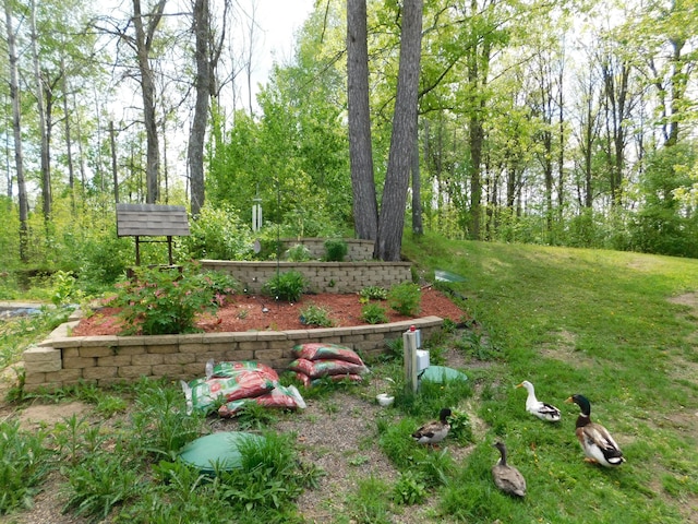 42561 230th Ave, Mcgregor, MN 55760 - photo 8