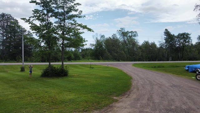 42561 230th Ave, Mcgregor, MN 55760 - photo 33