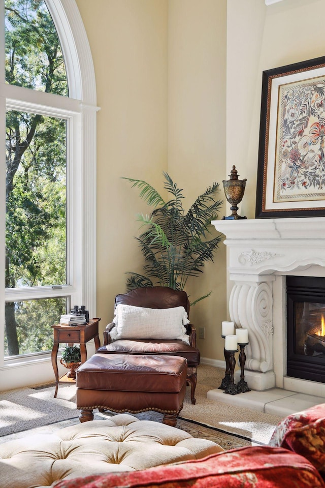 living area featuring carpet floors