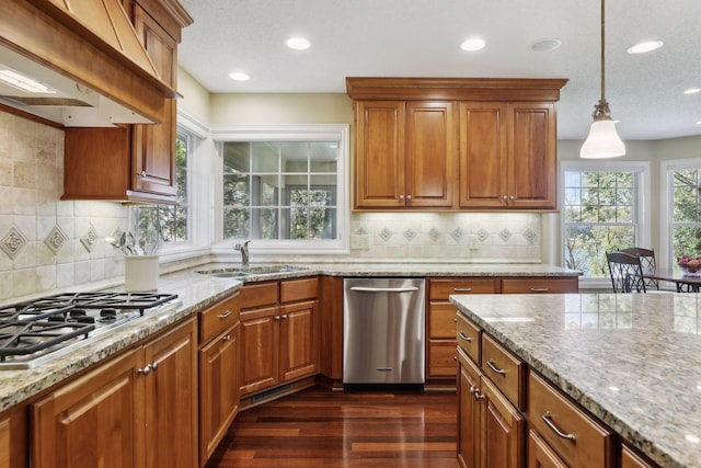 kitchen with sink, hanging light fixtures, stainless steel appliances, custom exhaust hood, and dark wood-type flooring