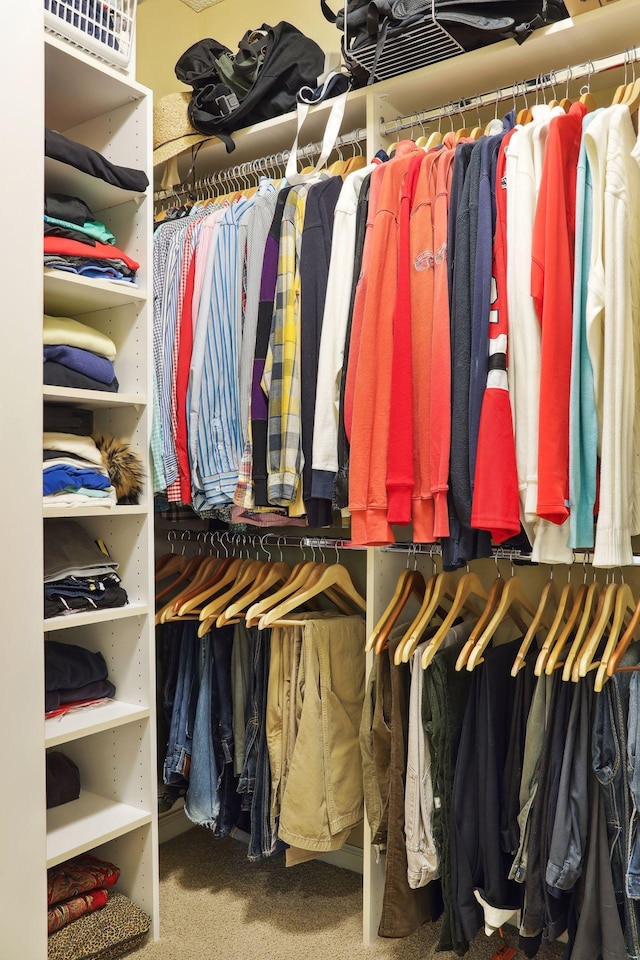 spacious closet with carpet floors