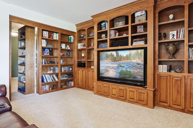 interior space featuring light carpet and a textured ceiling