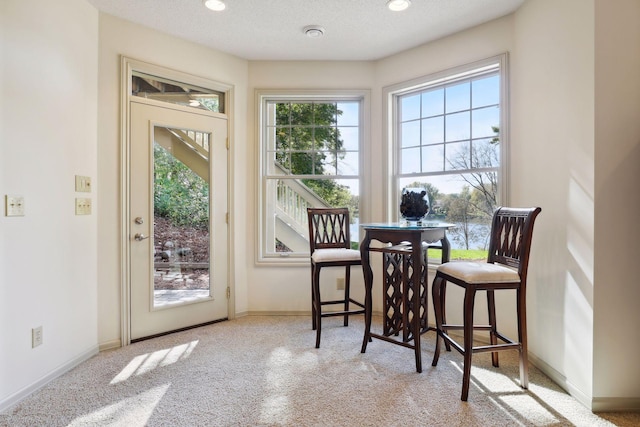 interior space featuring a textured ceiling and light colored carpet