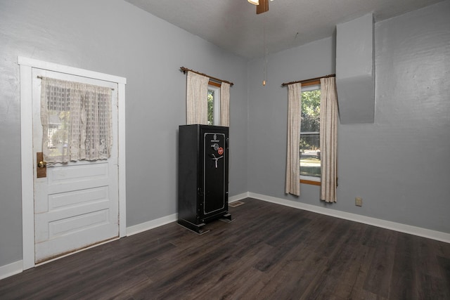 405 4th St SW, Pine Island, MN 55963 - foyer with dark wood-style flooring, baseboards, and ceiling fan