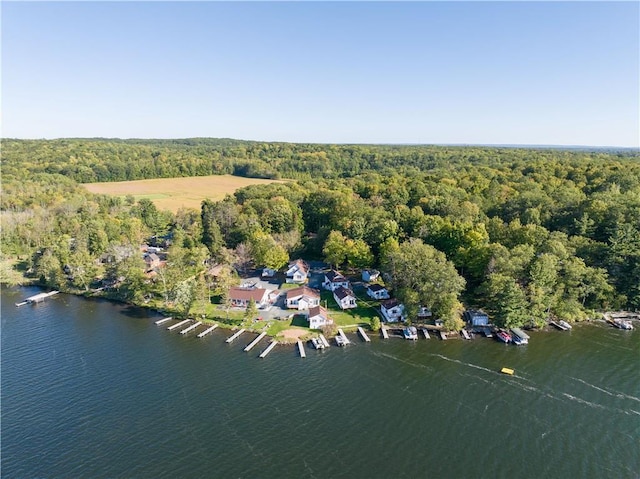 birds eye view of property featuring a water view and a forest view