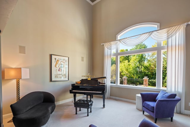 living area featuring a high ceiling and light colored carpet