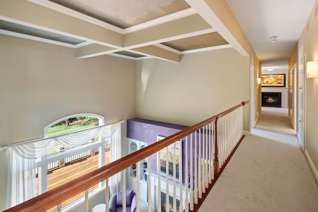 hall featuring light carpet, crown molding, beam ceiling, and coffered ceiling