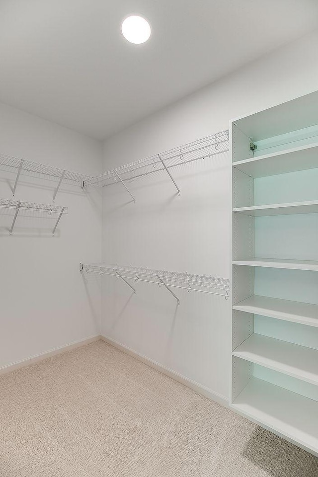 spacious closet featuring carpet floors