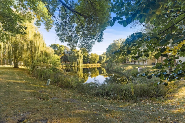 view of water feature