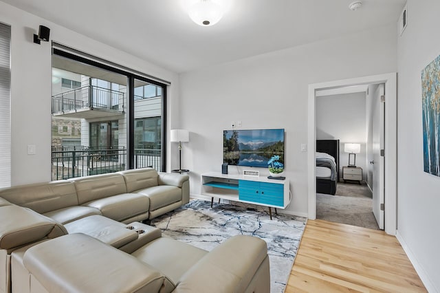 living room featuring hardwood / wood-style flooring