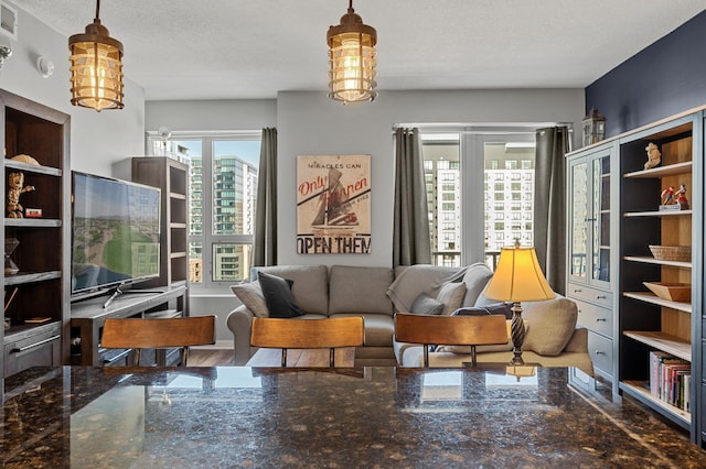 living room featuring a textured ceiling and hardwood / wood-style floors