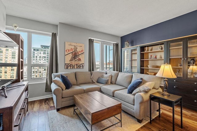 living room with a textured ceiling and hardwood / wood-style floors