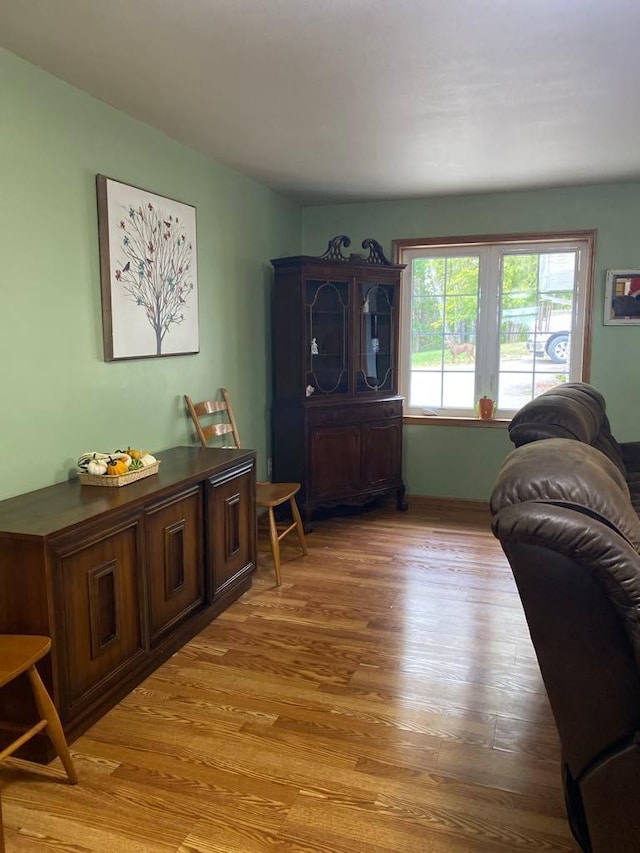 living room featuring light hardwood / wood-style flooring