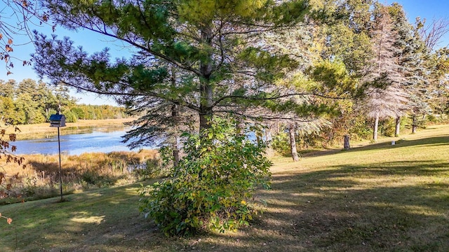 exterior space featuring a lawn and a water view