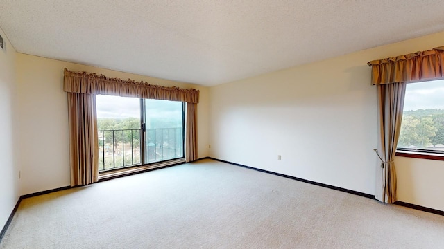 unfurnished room with light colored carpet, a textured ceiling, and a wealth of natural light