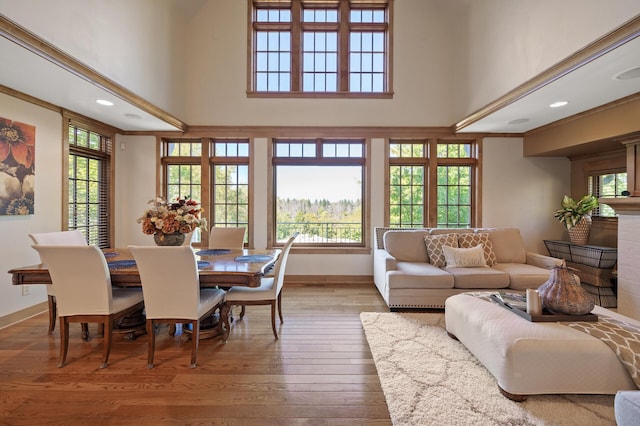 dining space featuring a high ceiling and hardwood / wood-style flooring