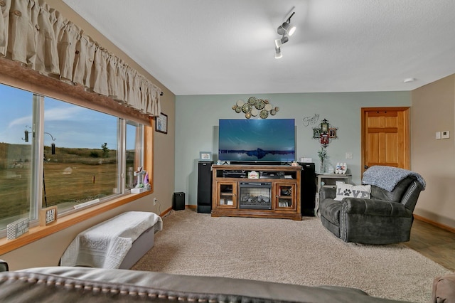 carpeted living room with a textured ceiling and rail lighting