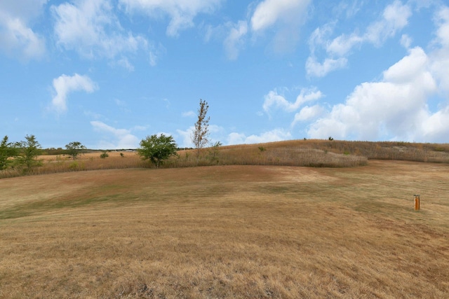 view of yard with a rural view