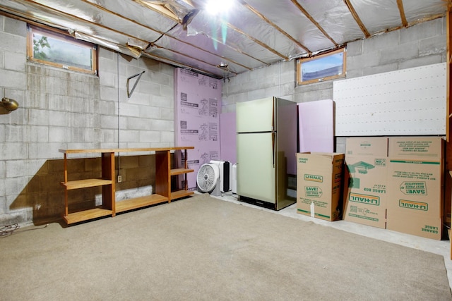 basement with stainless steel fridge