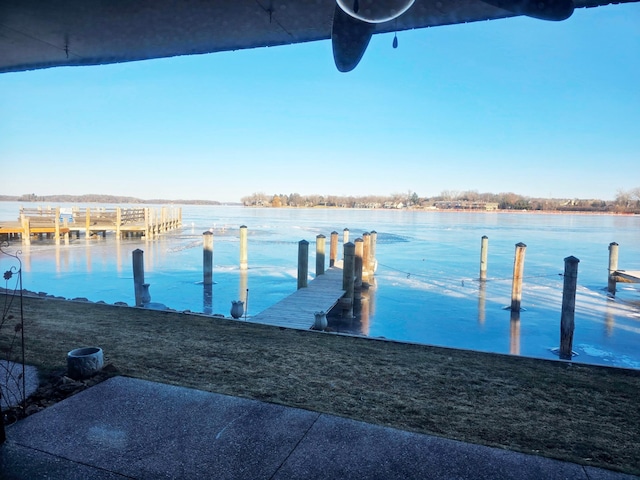 dock area with a water view