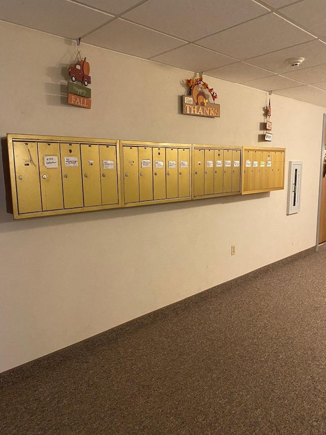 interior space featuring a paneled ceiling, mail boxes, electric panel, and carpet