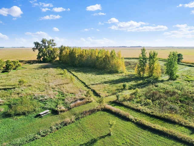 29693 120th St, Herman, MN 56248 - view of yard with a rural view