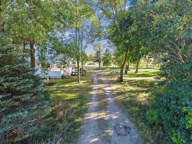 29693 120th St, Herman, MN 56248 - view of street featuring driveway