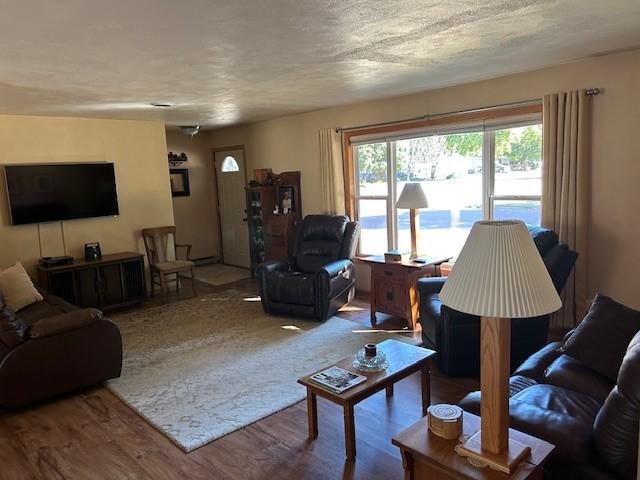 living room with a textured ceiling and hardwood / wood-style floors