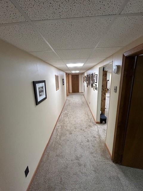 corridor with light carpet and a paneled ceiling