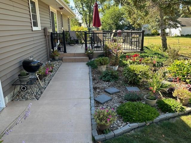 view of yard featuring a patio