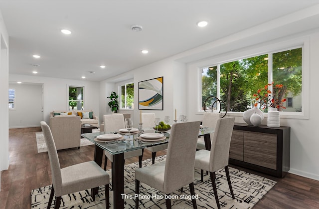 dining space featuring dark hardwood / wood-style flooring