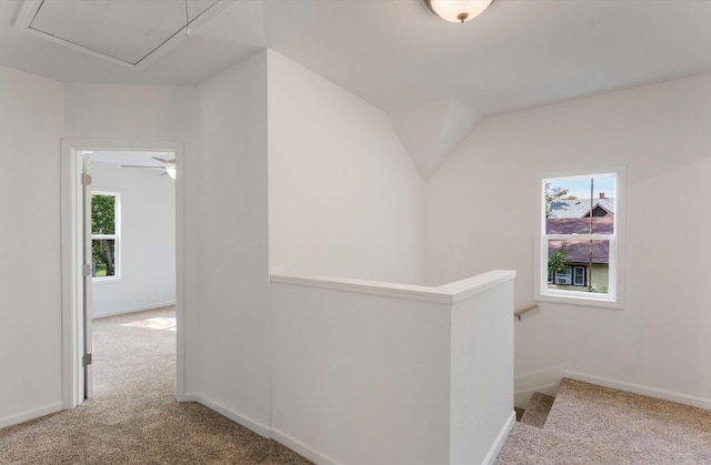 hallway with plenty of natural light and light colored carpet