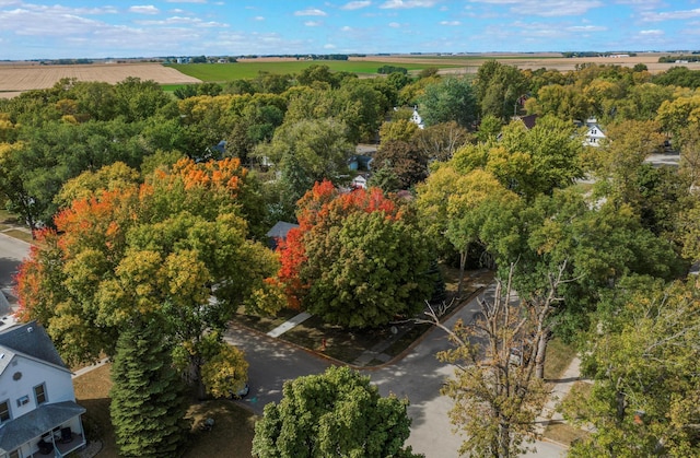 bird's eye view