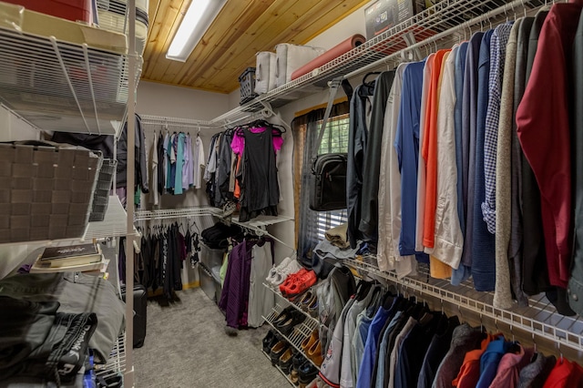 walk in closet with carpet flooring