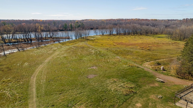 aerial view featuring a water view and a view of trees