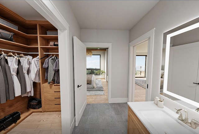 walk in closet featuring hardwood / wood-style floors and sink