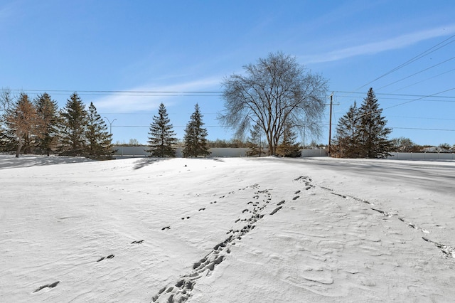 view of yard covered in snow