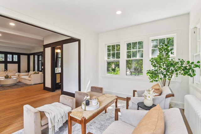 living room featuring radiator and hardwood / wood-style flooring