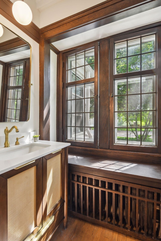 interior space featuring vanity and hardwood / wood-style floors