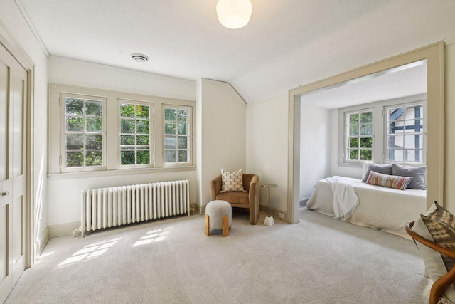 interior space with light colored carpet, lofted ceiling, and radiator heating unit