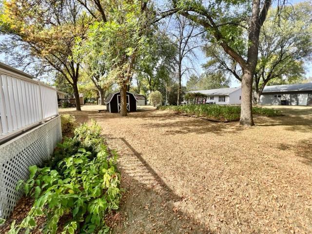 view of yard featuring a shed