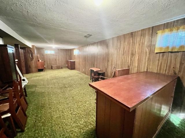 interior space with wood walls, a textured ceiling, and carpet floors