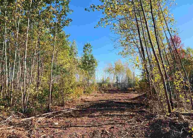 TBD Norway Ridge Rd, Mcdavitt Twp, MN 55738 - photo 7