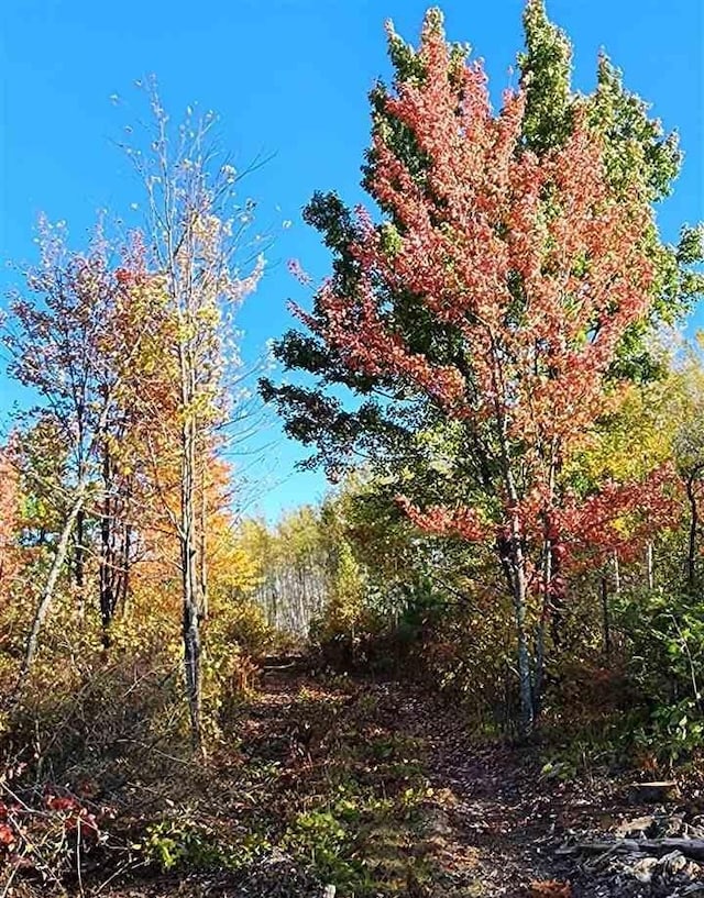 TBD Norway Ridge Rd, Mcdavitt Twp, MN 55738 - photo 8