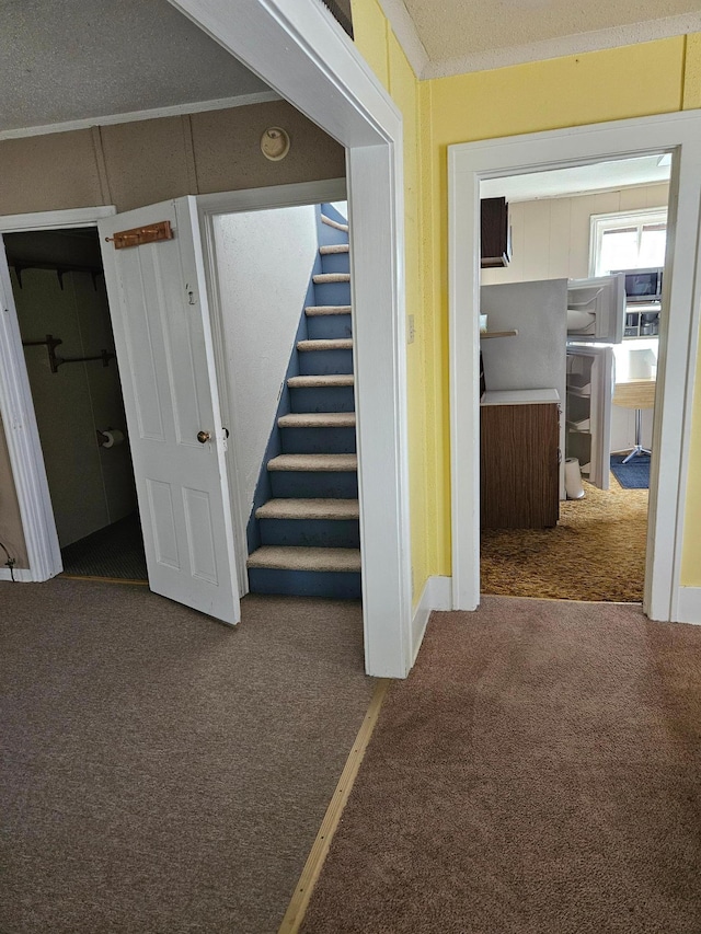 hall featuring a textured ceiling, crown molding, and carpet flooring