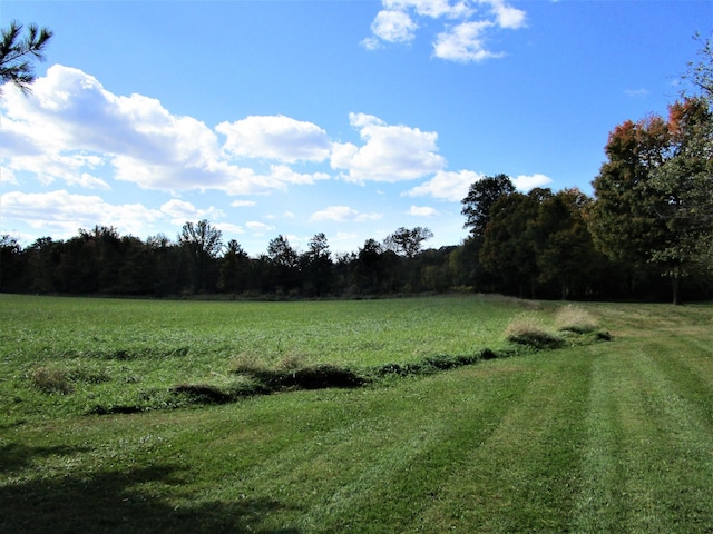 view of yard with a rural view