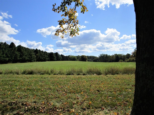 view of landscape with a rural view