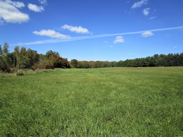 view of yard featuring a rural view