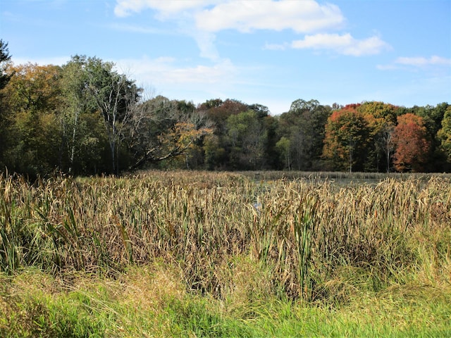 view of nature