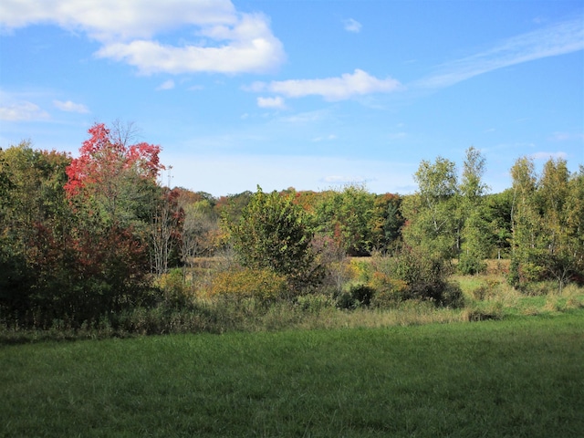 view of landscape